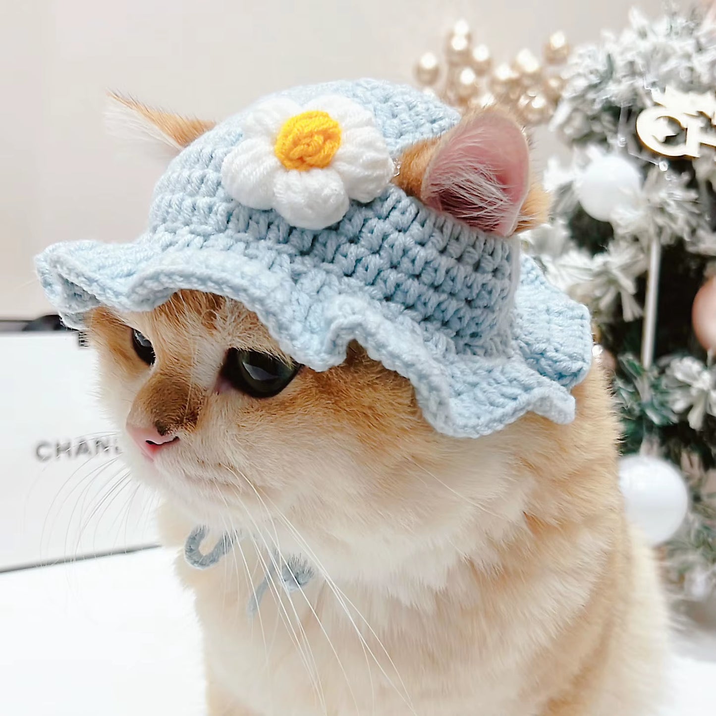 Cute Refined Cat Hat Elastic Autumn Winter Pet Hat Puppy Kittens Knitted Hat Party Photo Shoot Props Decoration Cat Accessories