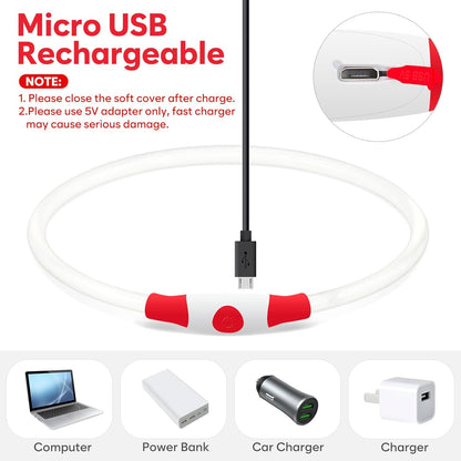 LED Dog Collar -  USB Rechargeable Light up Dog Collar Glow in the Dark, LED Dog Necklace Light for Night Walking (Red)