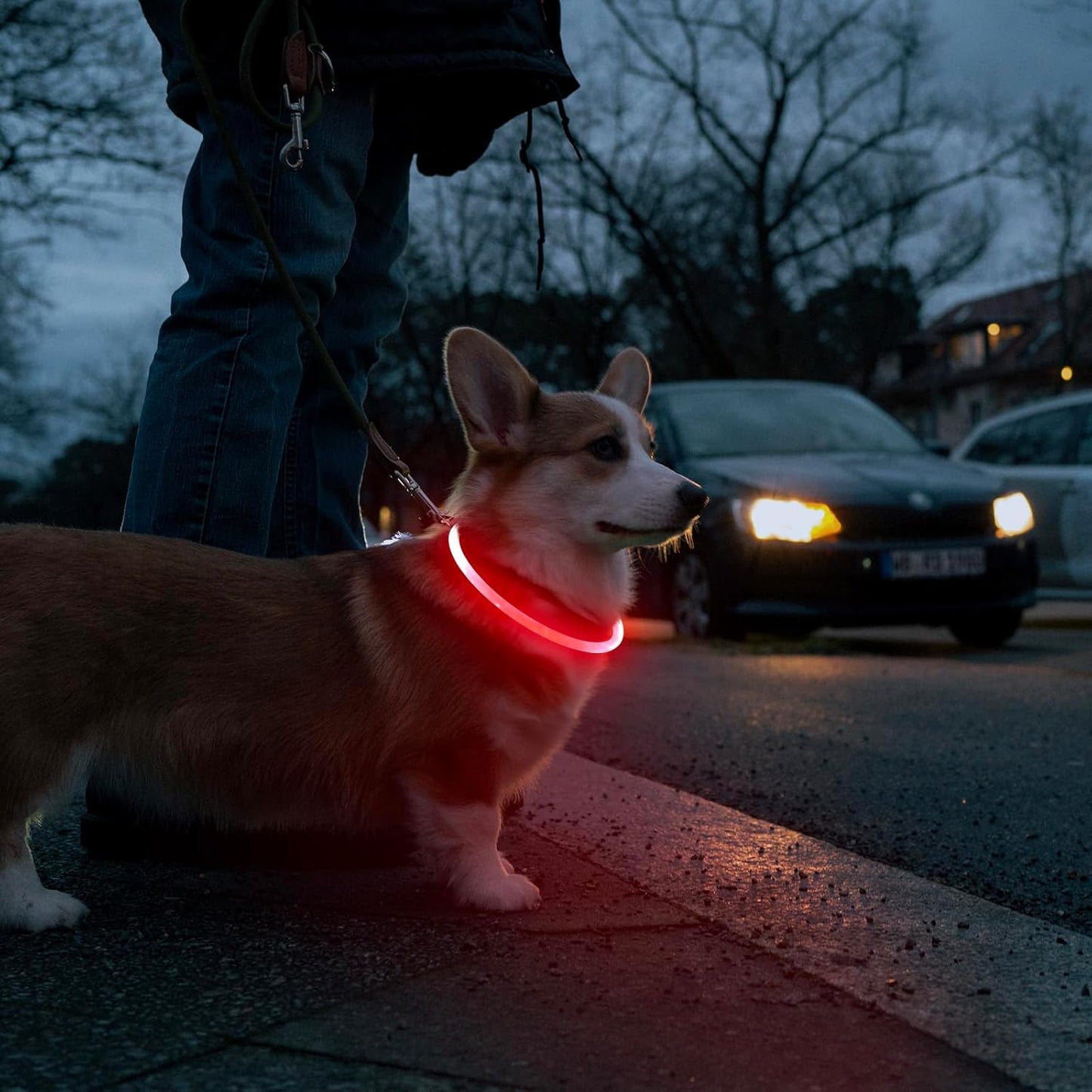 LED Dog Collar -  USB Rechargeable Light up Dog Collar Glow in the Dark, LED Dog Necklace Light for Night Walking (Red)