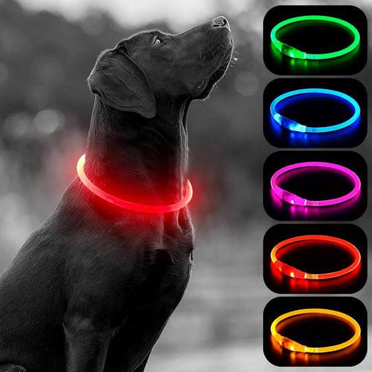 LED Dog Collar -  USB Rechargeable Light up Dog Collar Glow in the Dark, LED Dog Necklace Light for Night Walking (Red)